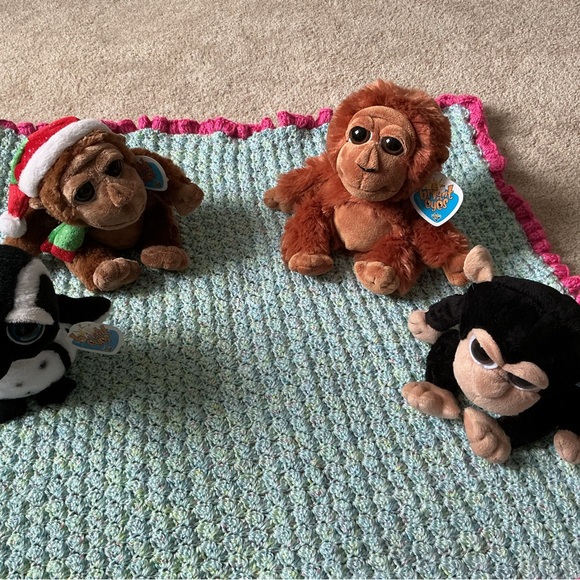 Bright Eyes Collection - Picture 1 of 6